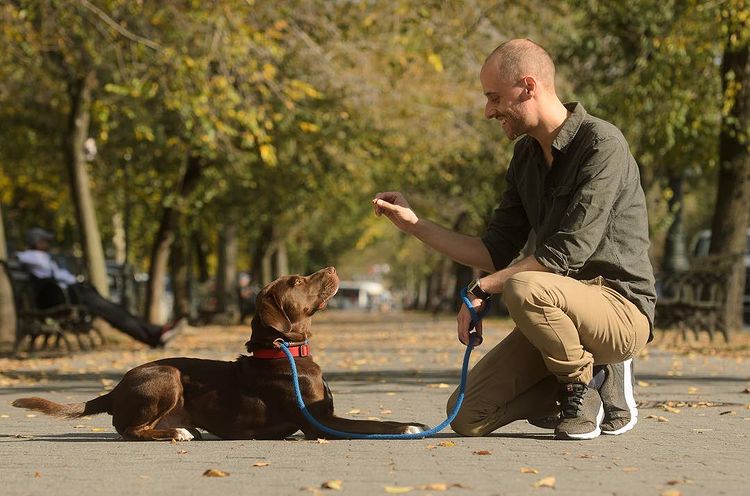 The dog behaviorist NYC