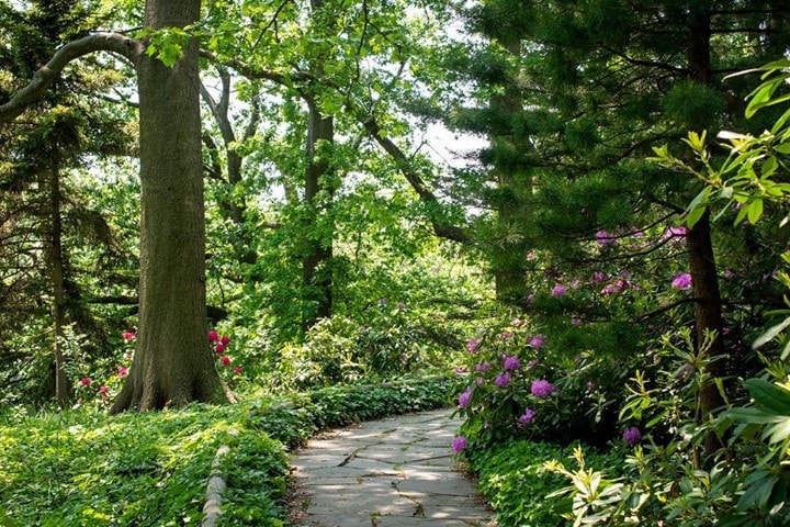 Brooklyn Botanic Garden 3