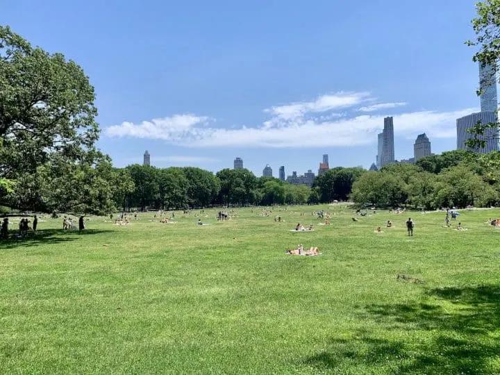 Central Park 5