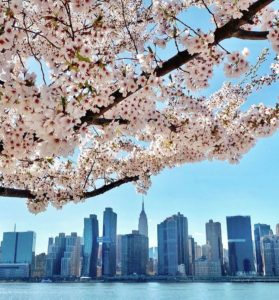 The 10 Most Dangerous Neighborhoods and 10 Safest Neighborhoods in NYC